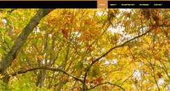 Desktop Screenshot of navesinkchallenge.com